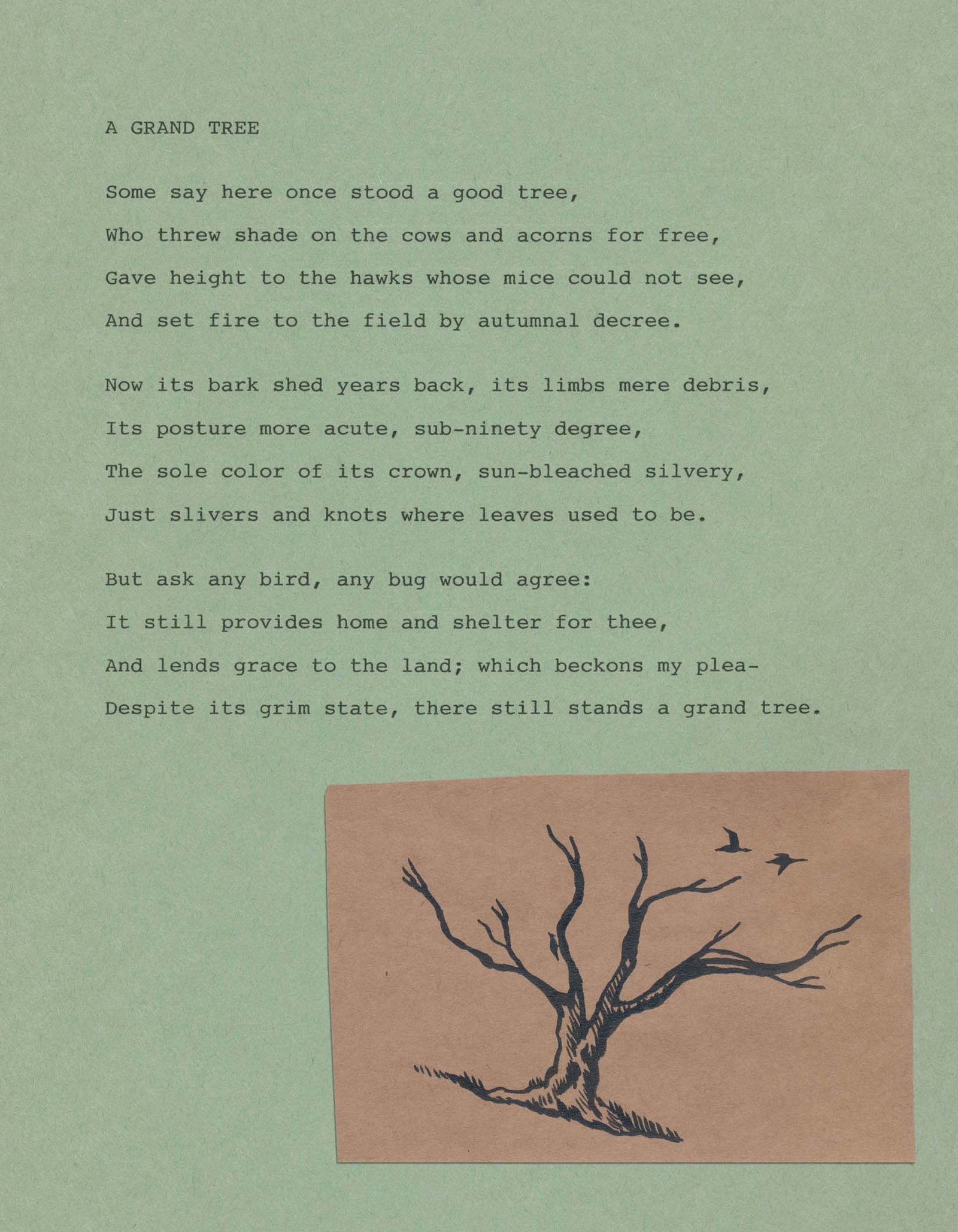 A GRAND TREE